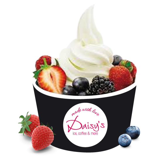 Frozen Yoghurt | Daisy's Heerlijk ijs, koffie en meer! Tiel & Bosch